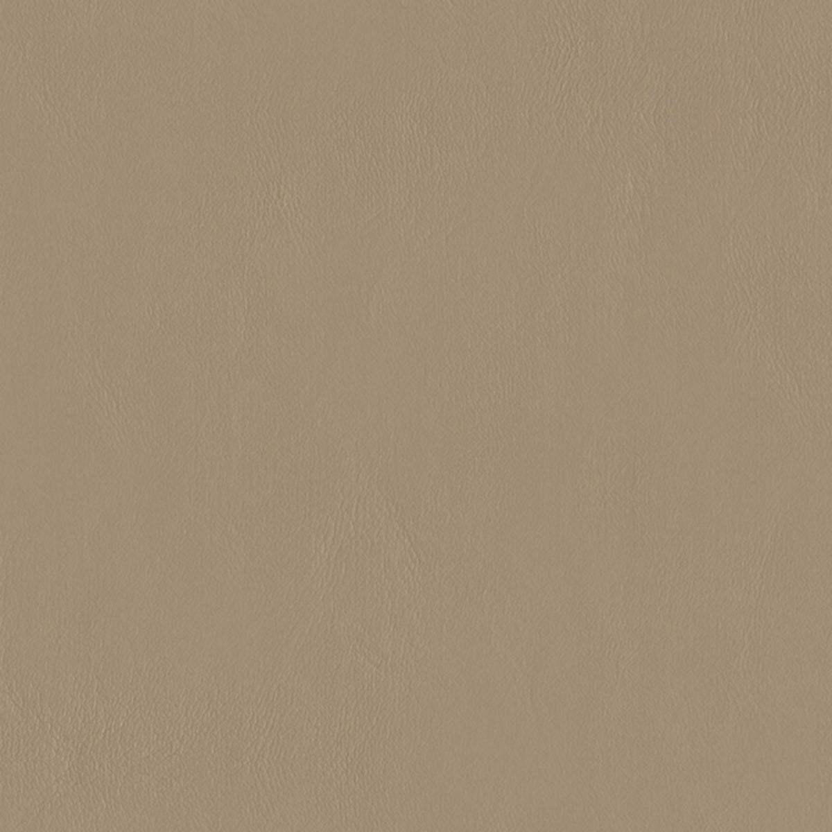 E-Z Wallaby Neutral Vinyl |#| 